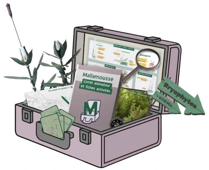 malle pédagogique sur les mousses